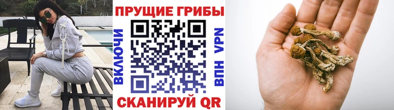 Галлюциногенные грибы Magic Shrooms  Черкесск 