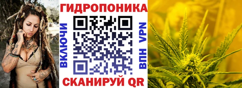 Канабис сатива  где купить наркоту  Черкесск 